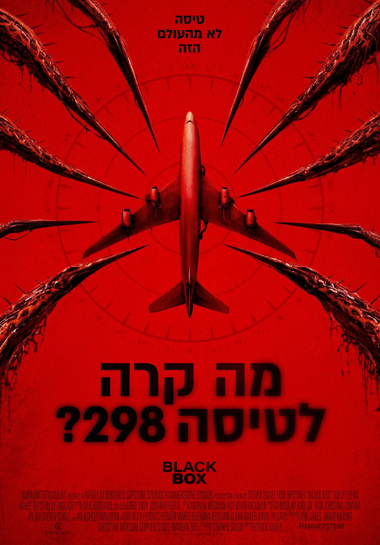 מה קרה לטיסה 298