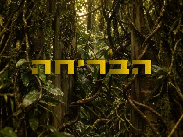 הבריחה - עונה 1, פרק 1